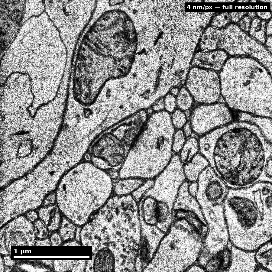 ≈3.6 µm — native 4 nm resolution