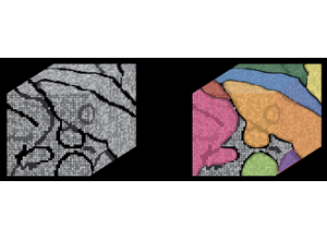 High-level architecture visual