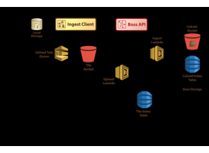 Ingest architecture diagram: an ingest client uploads tiles through a task queue into a tile bucket and tile index, which are converted into a cuboid bucket and cuboid index in storage