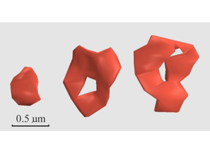 Axon/dendrite training visual: side-by-side comparison