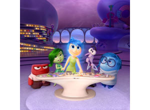 Segmentation proofreading visual: processing-stage quality context