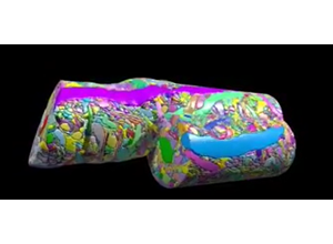 NeuroAI visual: brain data framing