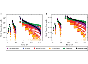 NeuroAI visual: atlas scans hypothesis