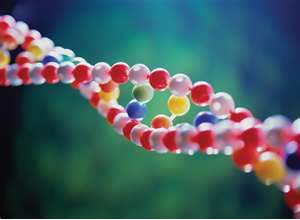 NeuroAI visual: project overview context