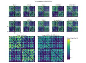 NeuroAI visual: processing comparison context